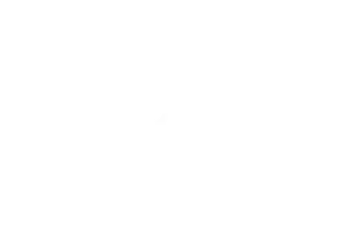 Trusted partner